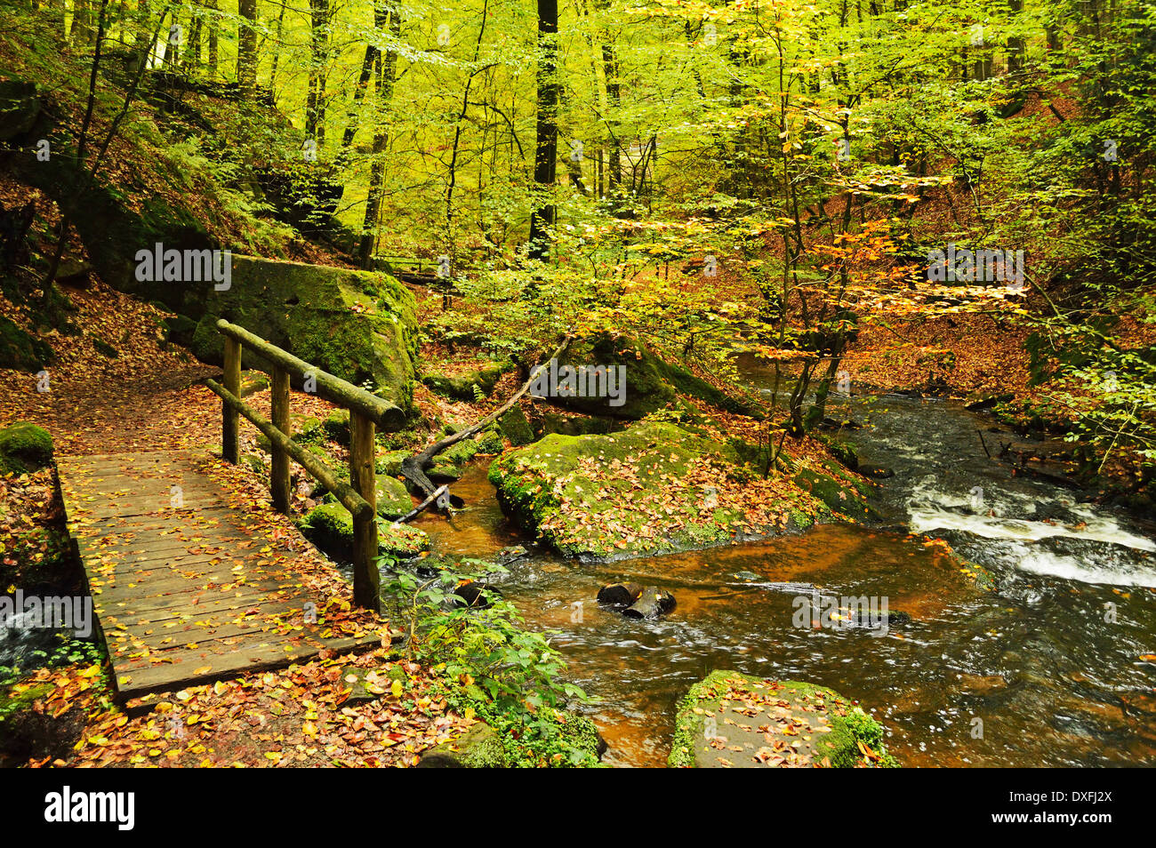 Palatinate forest nature park autumn hi-res stock photography and ...