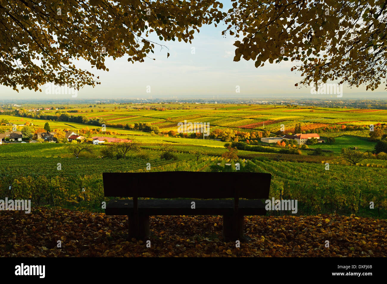 Burrweiler High Resolution Stock Photography And Images Alamy