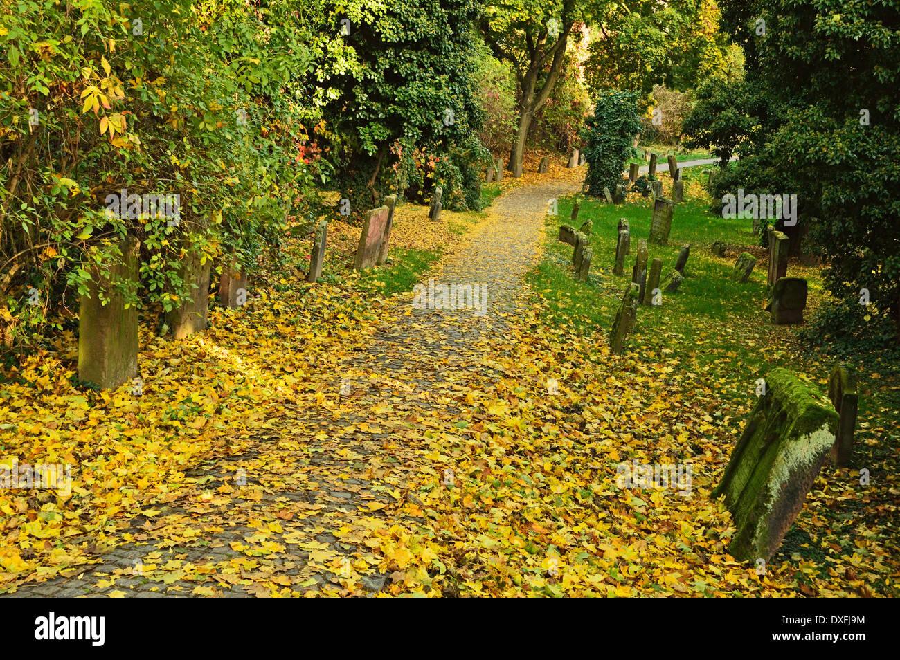Jewish Cemetery in Autumn, Worms, Rhineland-Palatinate, Germany Stock Photo