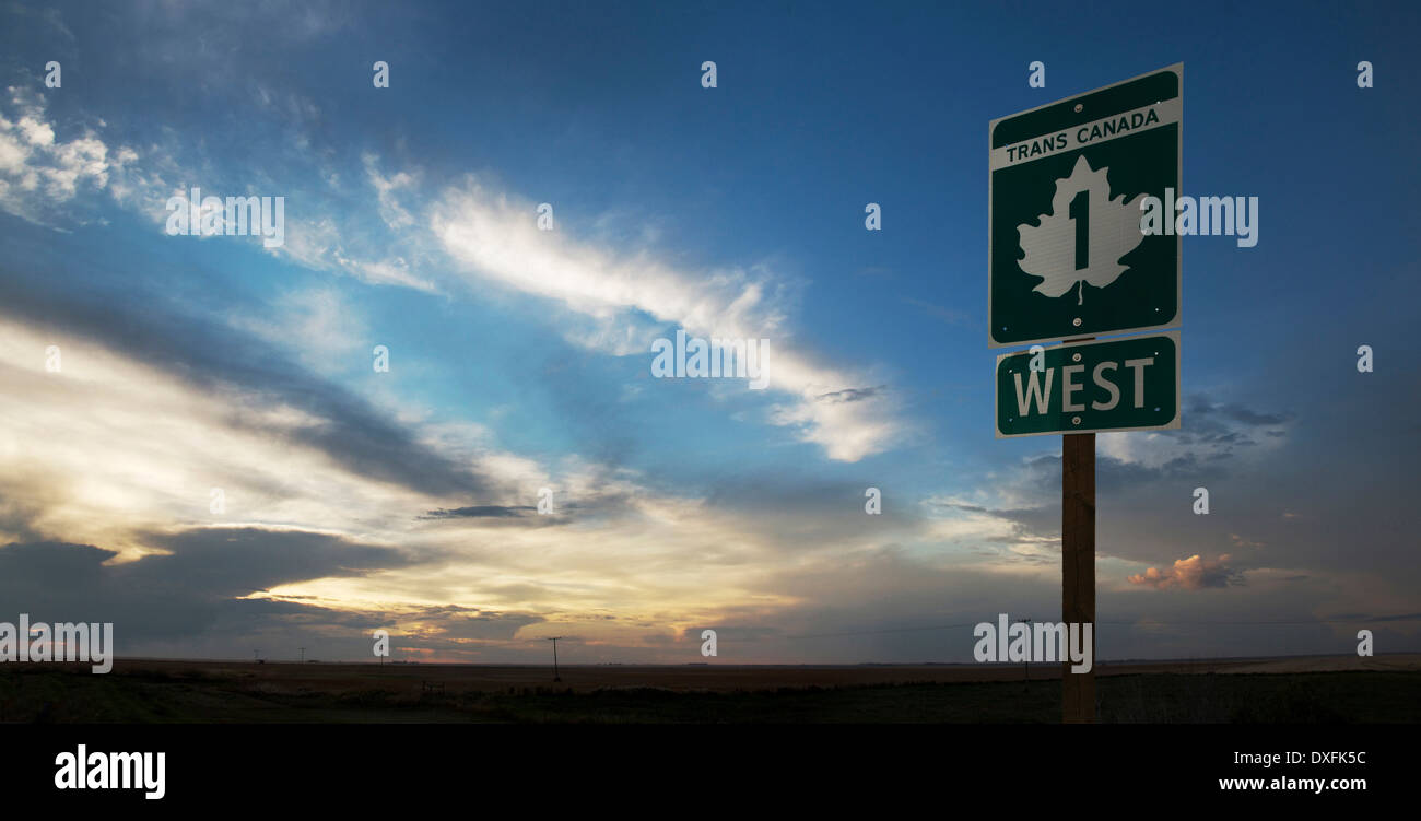 Trans Canada Highway Sign near Swift Current, Alberta, Canada Stock Photo