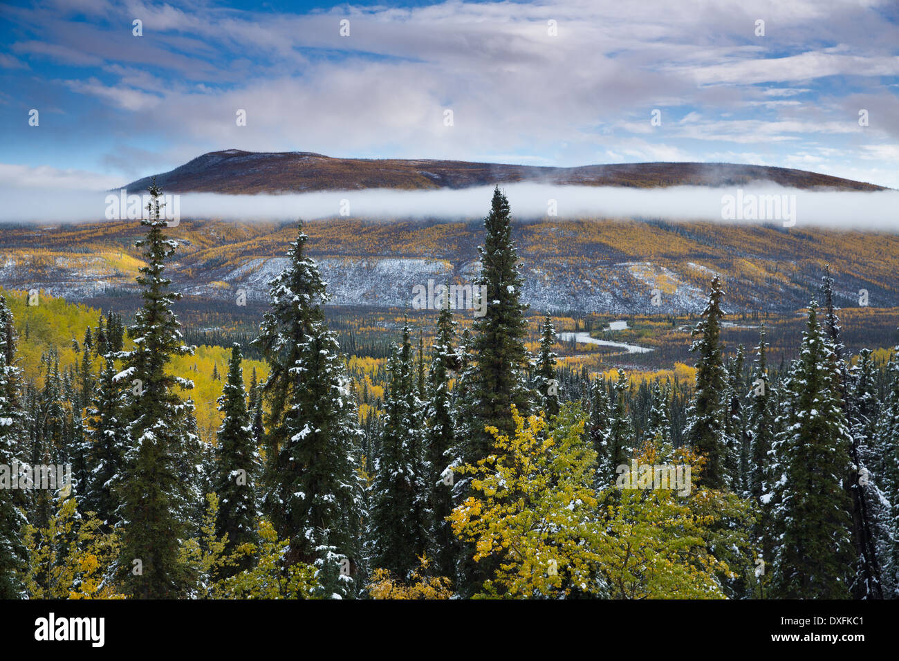 Autumn colours and the first snow in the Stewart River Valley, Yukon Territories, Canada Stock Photo