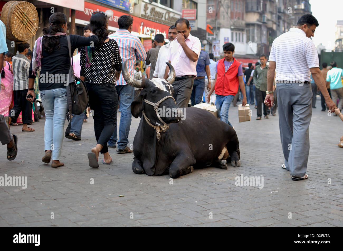 A cow lies down in a busy shopping street near the markets in Mumbai Stock Photo