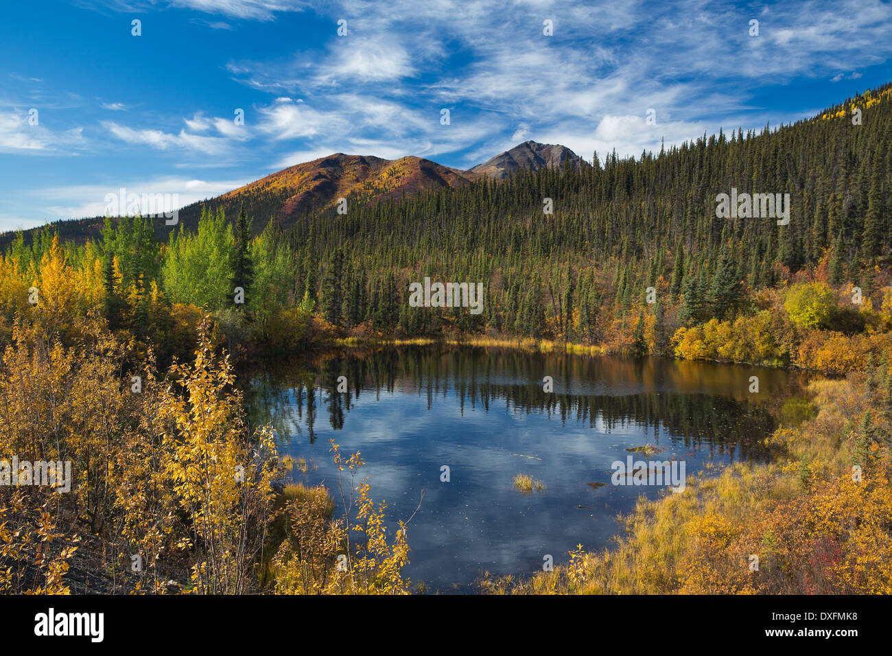 Autumn colours fringing the Dempster Highway, Yukon Territories, Canada Stock Photo