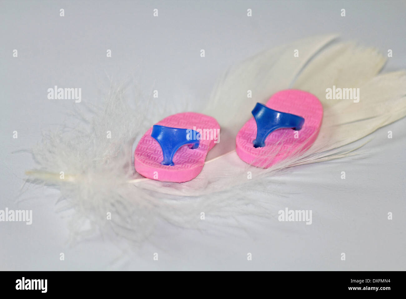 Miniature rubber slippers on feather Stock Photo - Alamy