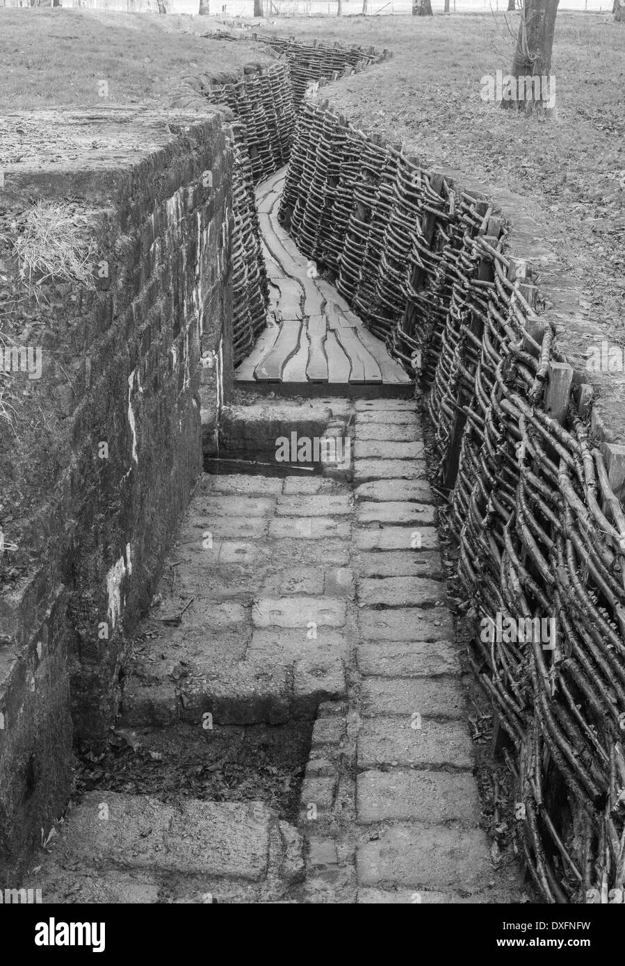 Ww1 trenches hi-res stock photography and images - Alamy