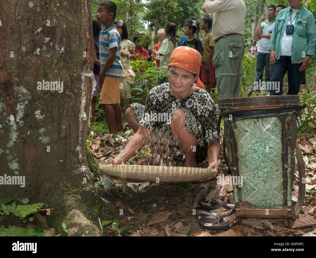 Woman winnowing gum from the Damar trees, Pesisir area, West Lampung, Sumatra, Indonesia Stock Photo