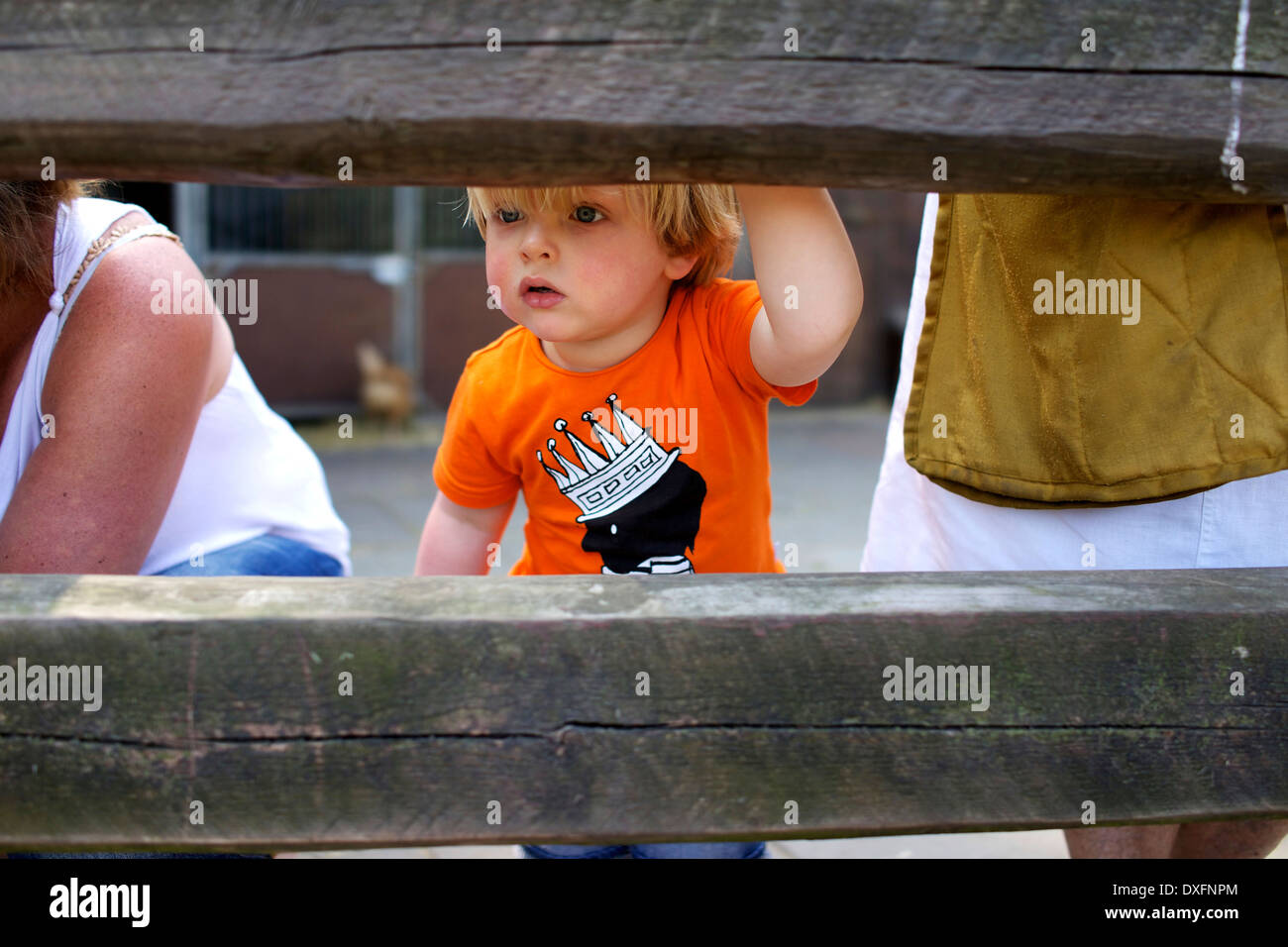 Little Dutch boy watching Stock Photo Alamy