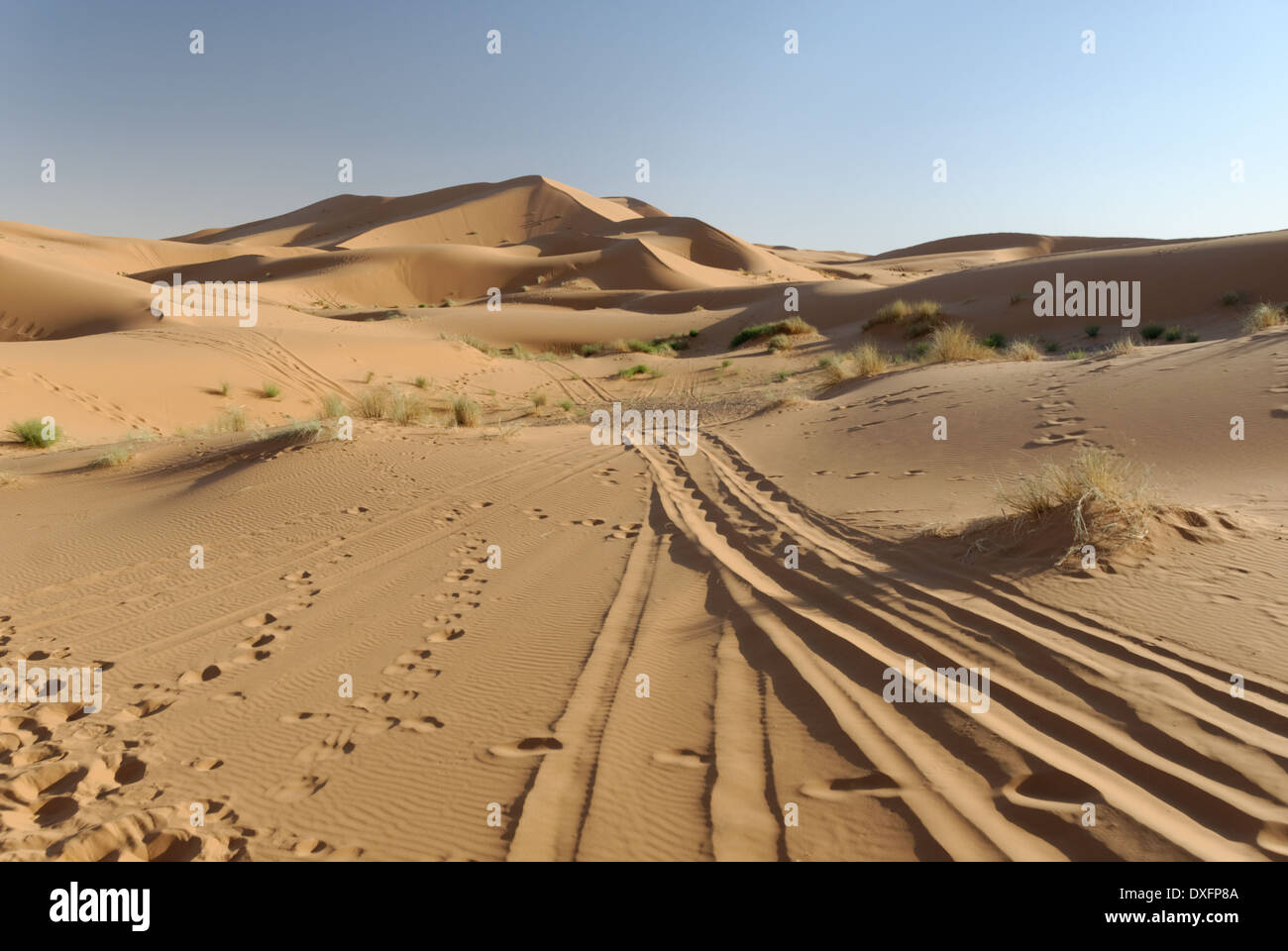 Tracks in the sand, desert in Morocco. Stock Photo