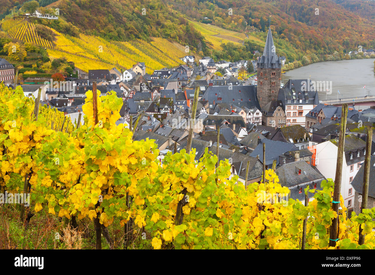 Overview of Bernkastel-Kues, Moseltal (Mosel River Valley), Germany Stock Photo