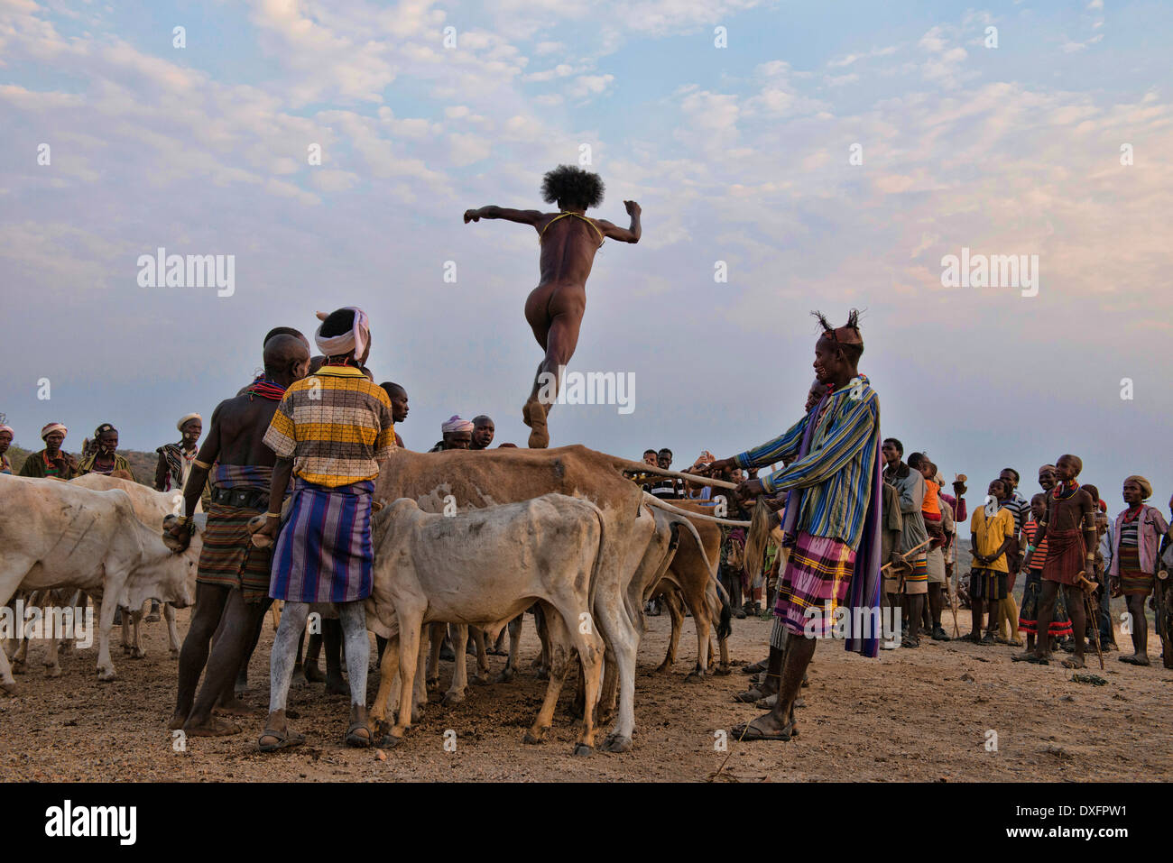 Hamer man at a bull jumping ceremony near Turmi in the Omo Valley, Ethiopia. Stock Photo