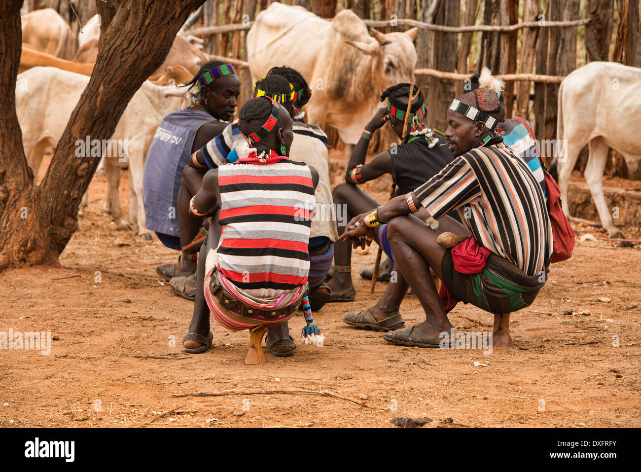 Hamer men at a cattle market in the Omo Valley, Ethiopia Stock Photo