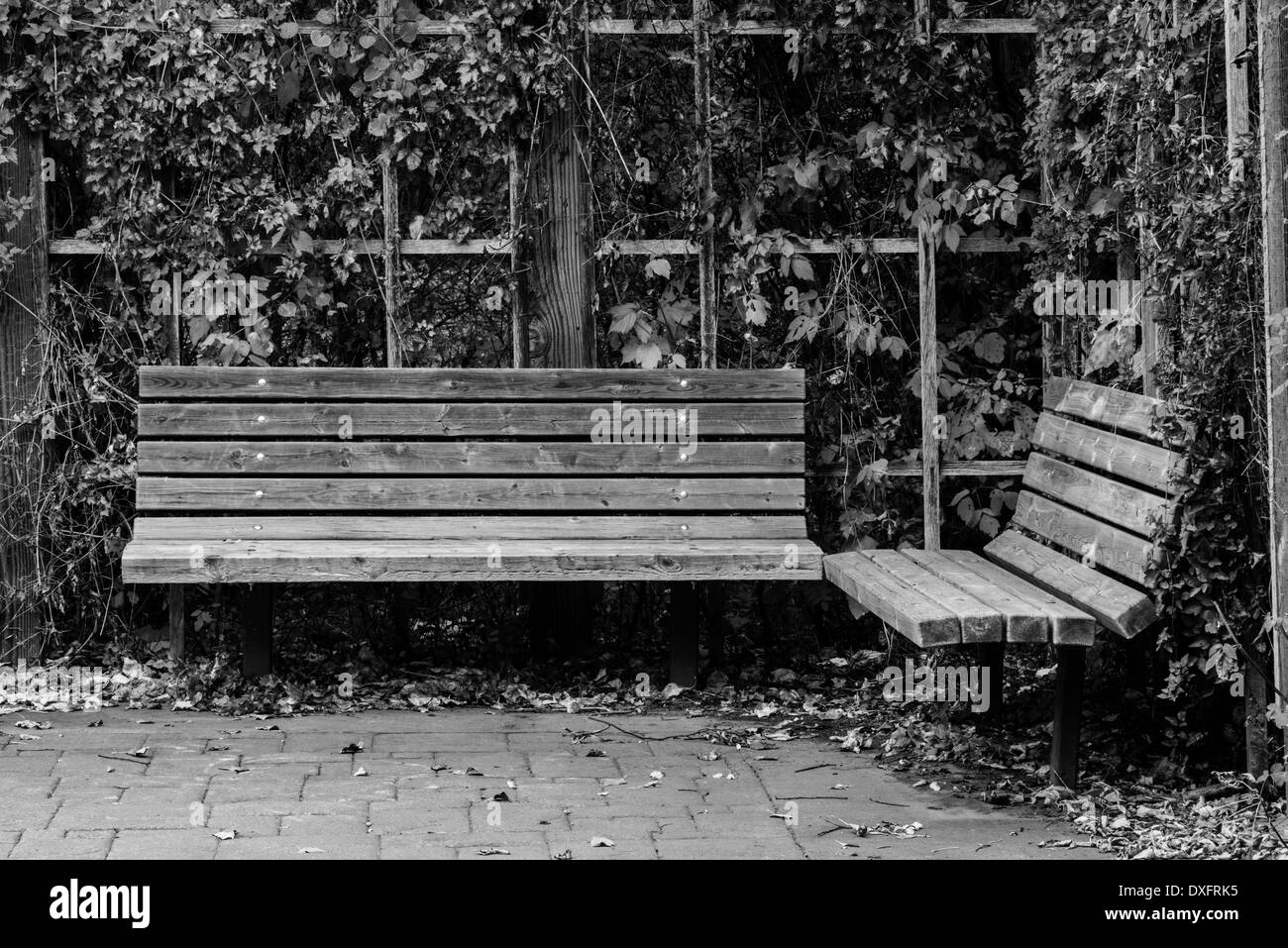 An empty space with two park benches Stock Photo - Alamy