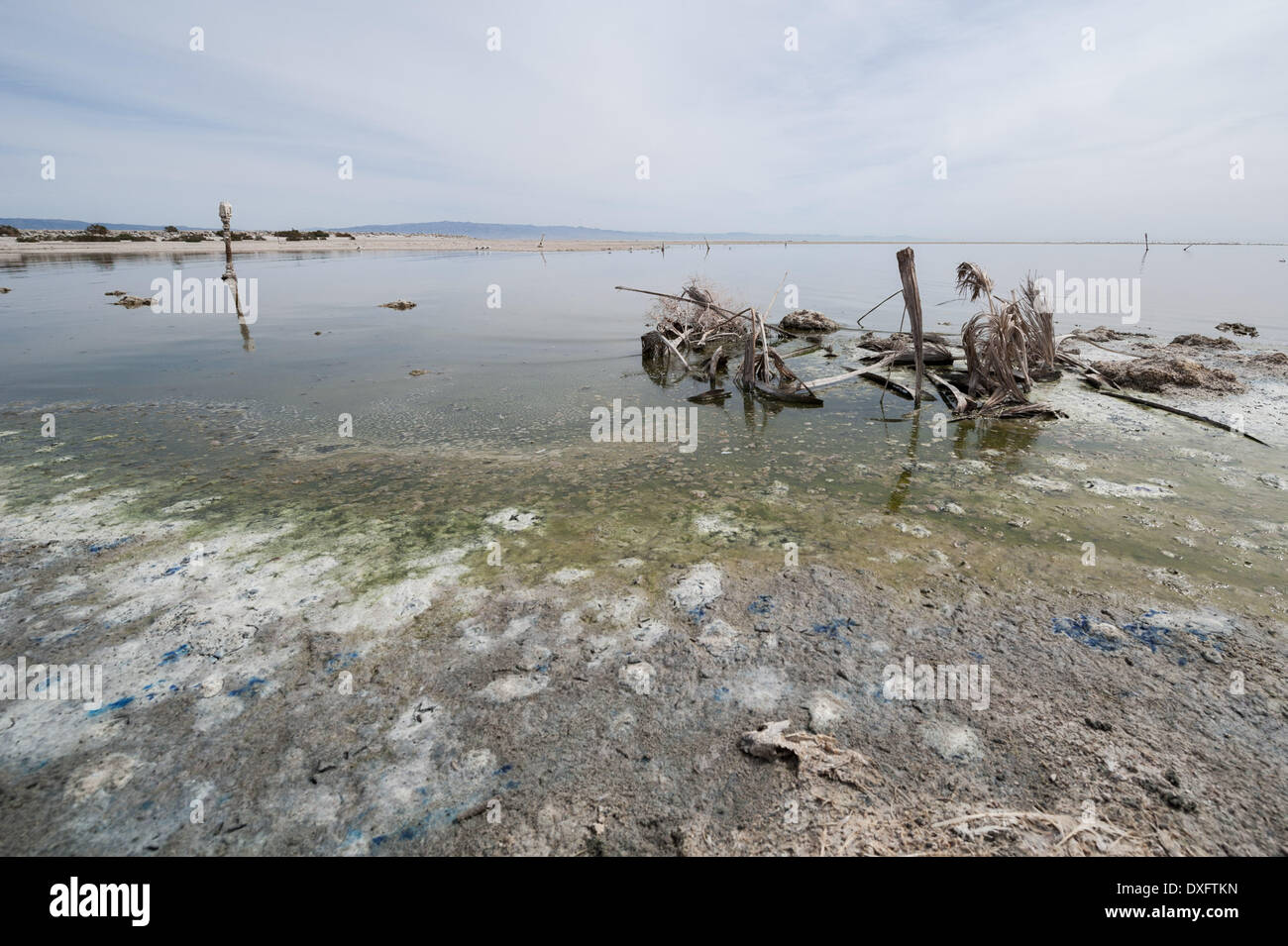 Salton City, California, USA. 20th Mar, 2014. The Salton Sea is