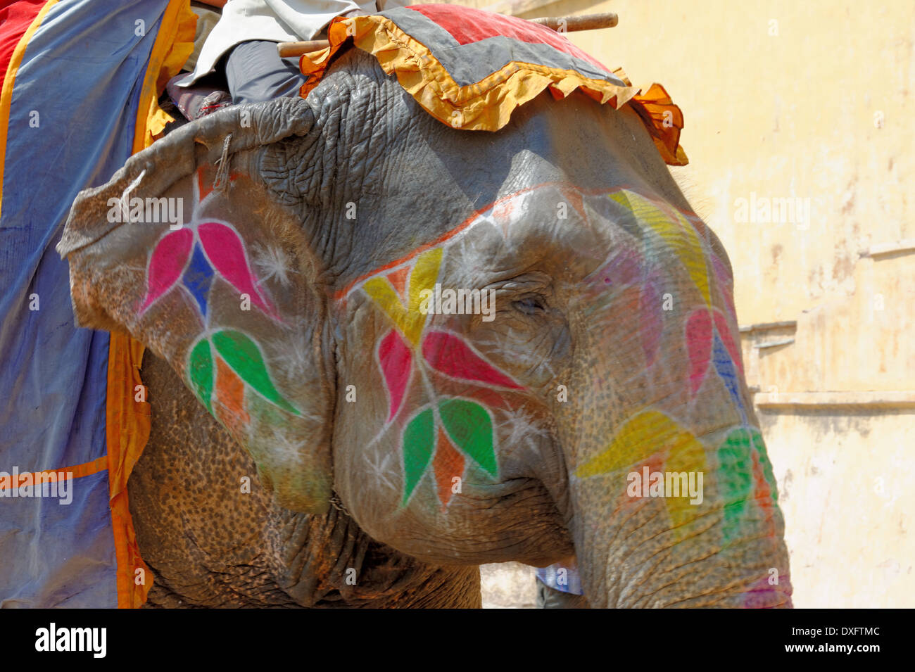 Colored Indian elephant in Amber Palace, Jaipur, India. Stock Photo