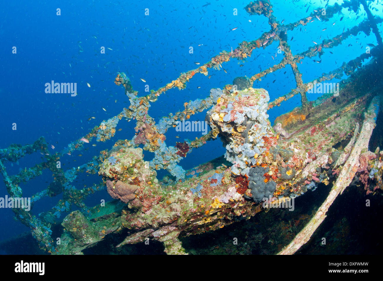 Bollard on Taranto Wreck, Adriatic Sea, Croatia Stock Photo