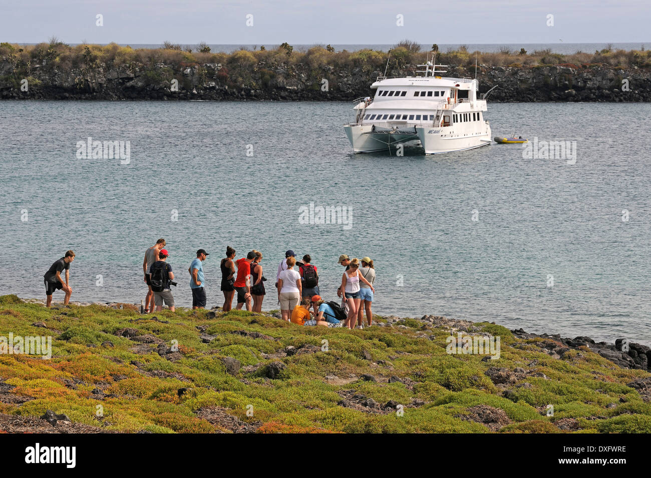 Group of tourists, Plaza Sur Island, Galapagos Islands, Ecuador Stock Photo