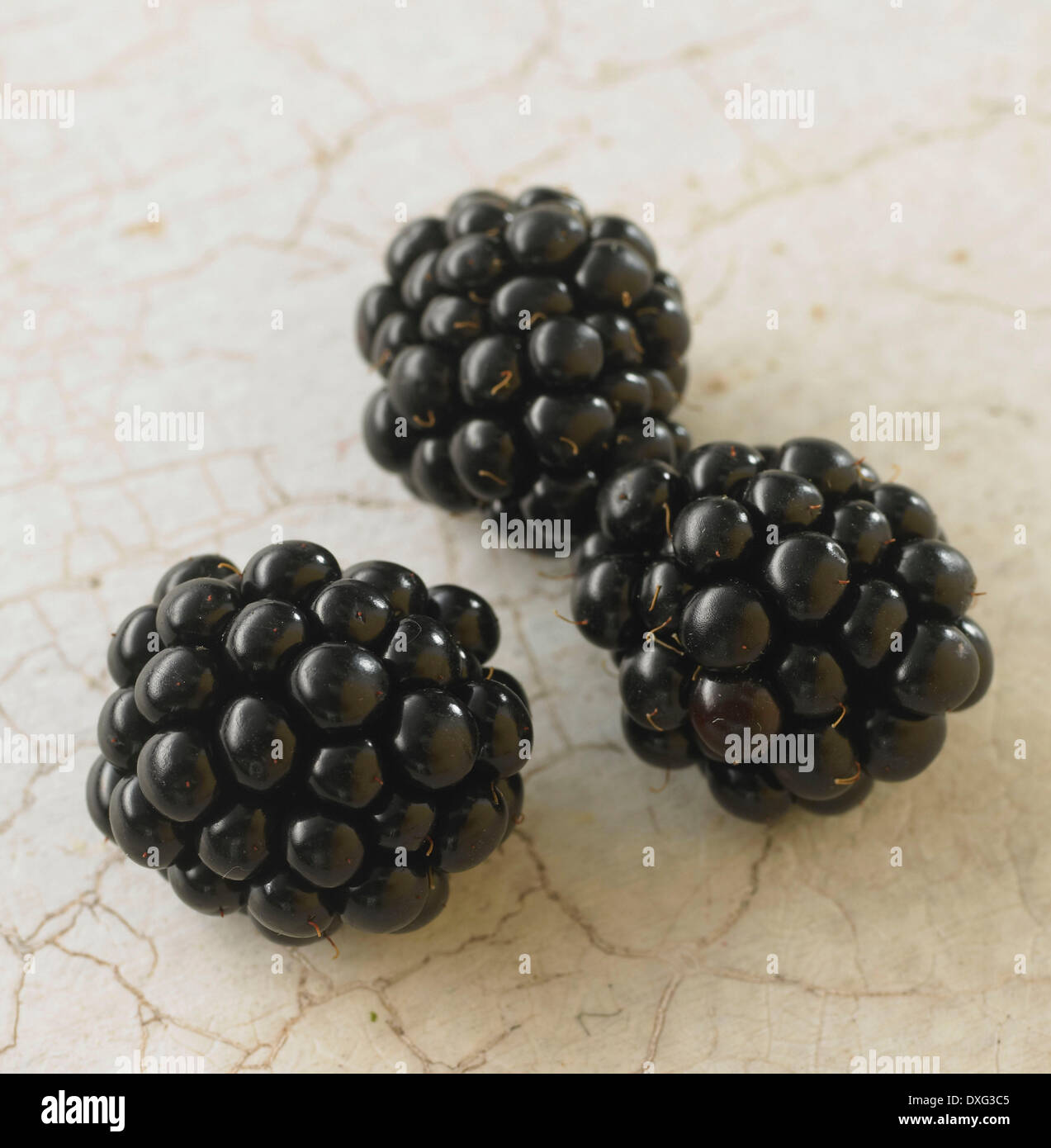 Close Up Of Blackberries On Colored Background Stock Photo