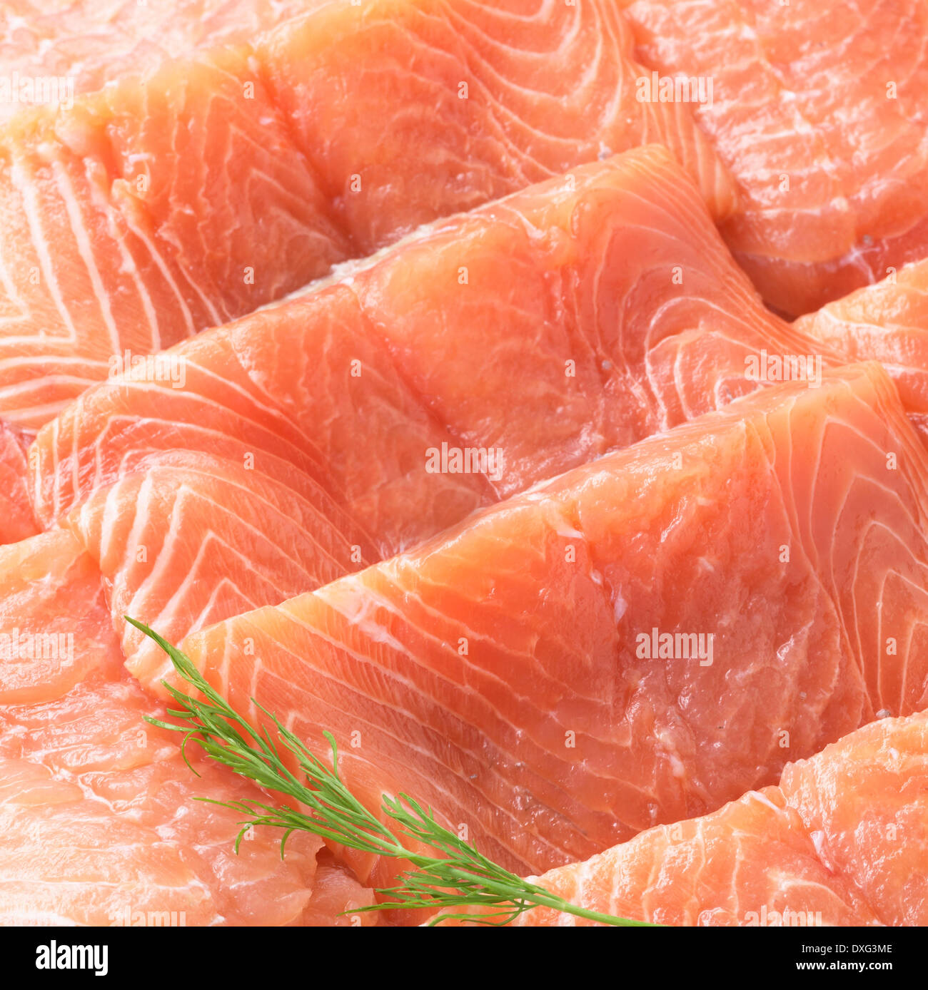 Dill photos hires stock photography and images Alamy