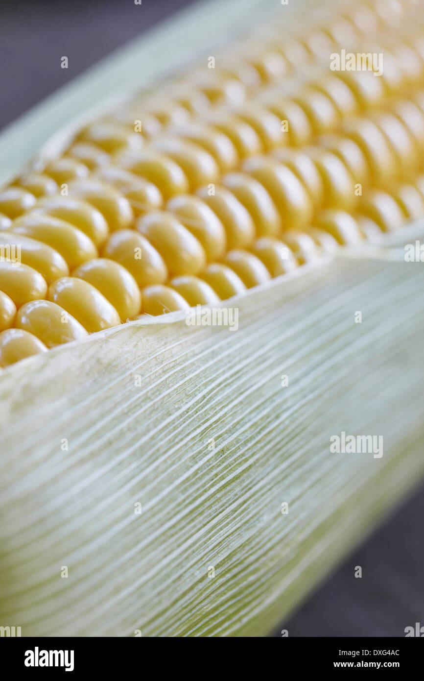 Close Up Of Fresh Sweetcorn On Cob Stock Photo