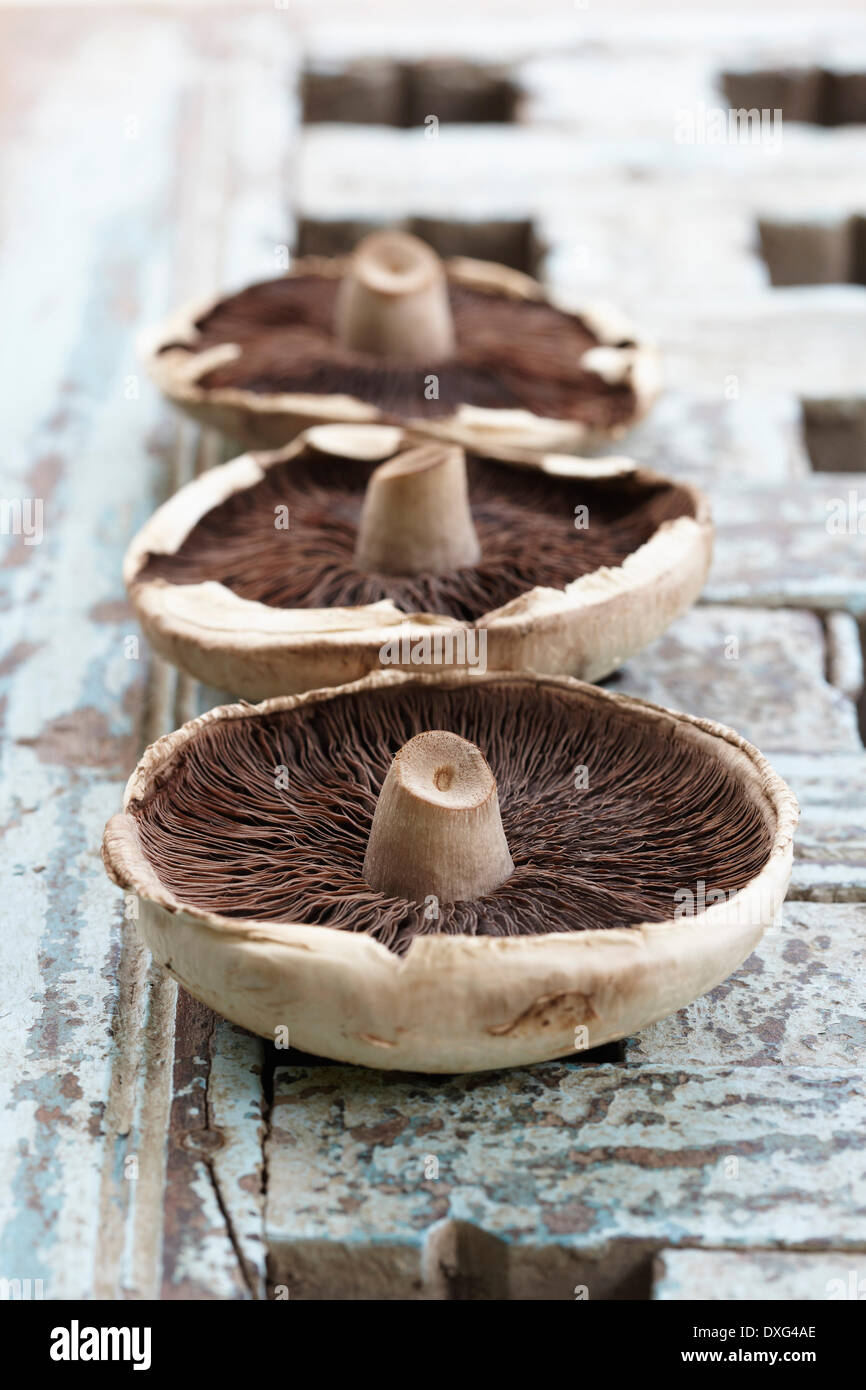 Three Wild Mushrooms On Wooden Surface Stock Photo