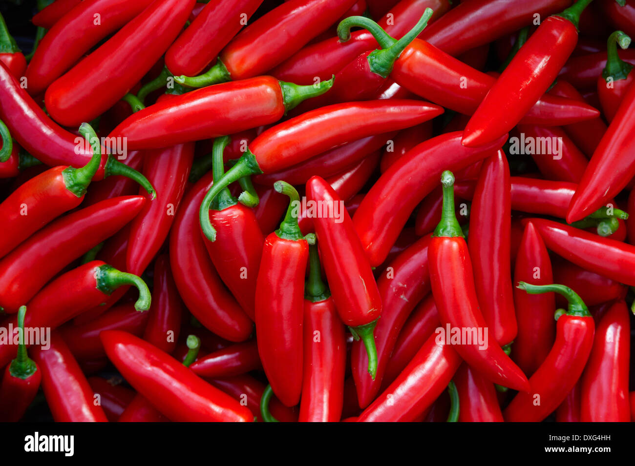 Full Frame Of Red Chilli Peppers Stock Photo