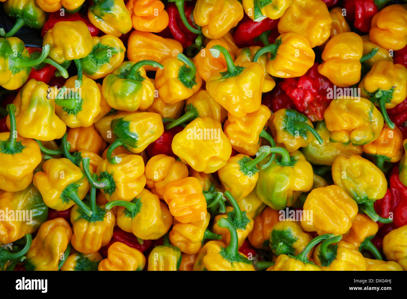 Full Frame Of Scotch Bonnet Chilli Peppers Stock Photo