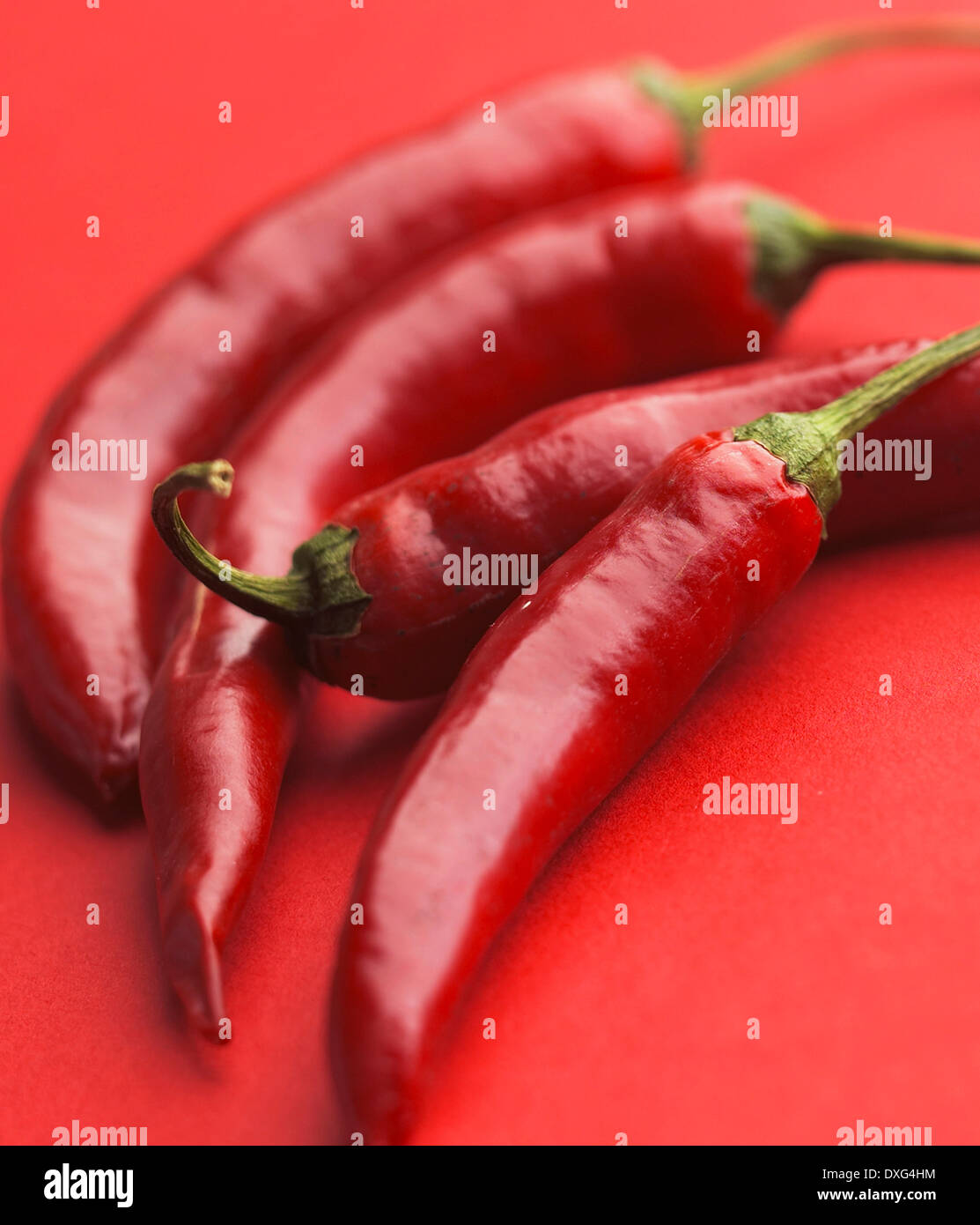 Red Chilli Peppers On Red Background Stock Photo