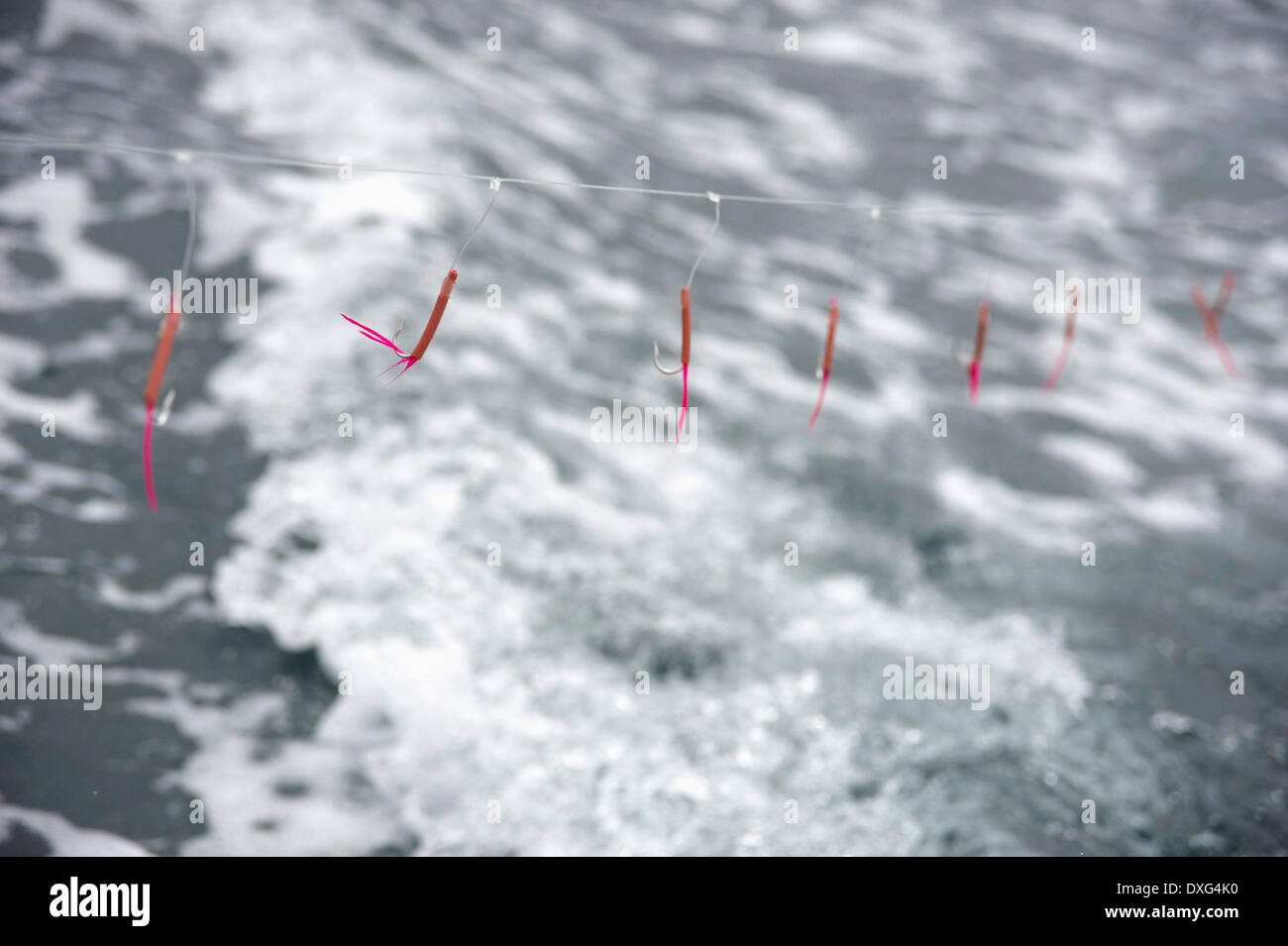 Catching Fish Using Sustainable Line Method Stock Photo Alamy