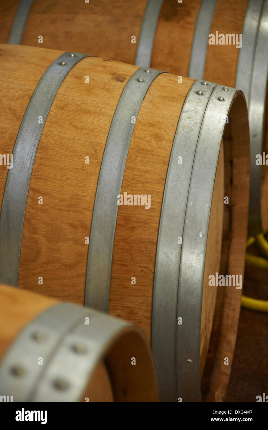 Wine Stored In Wooden Barrels On Vineyard Stock Photo