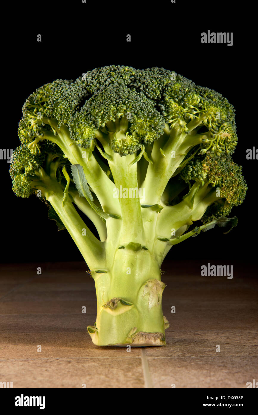 Broccoli (Brassica oleracea) Stock Photo