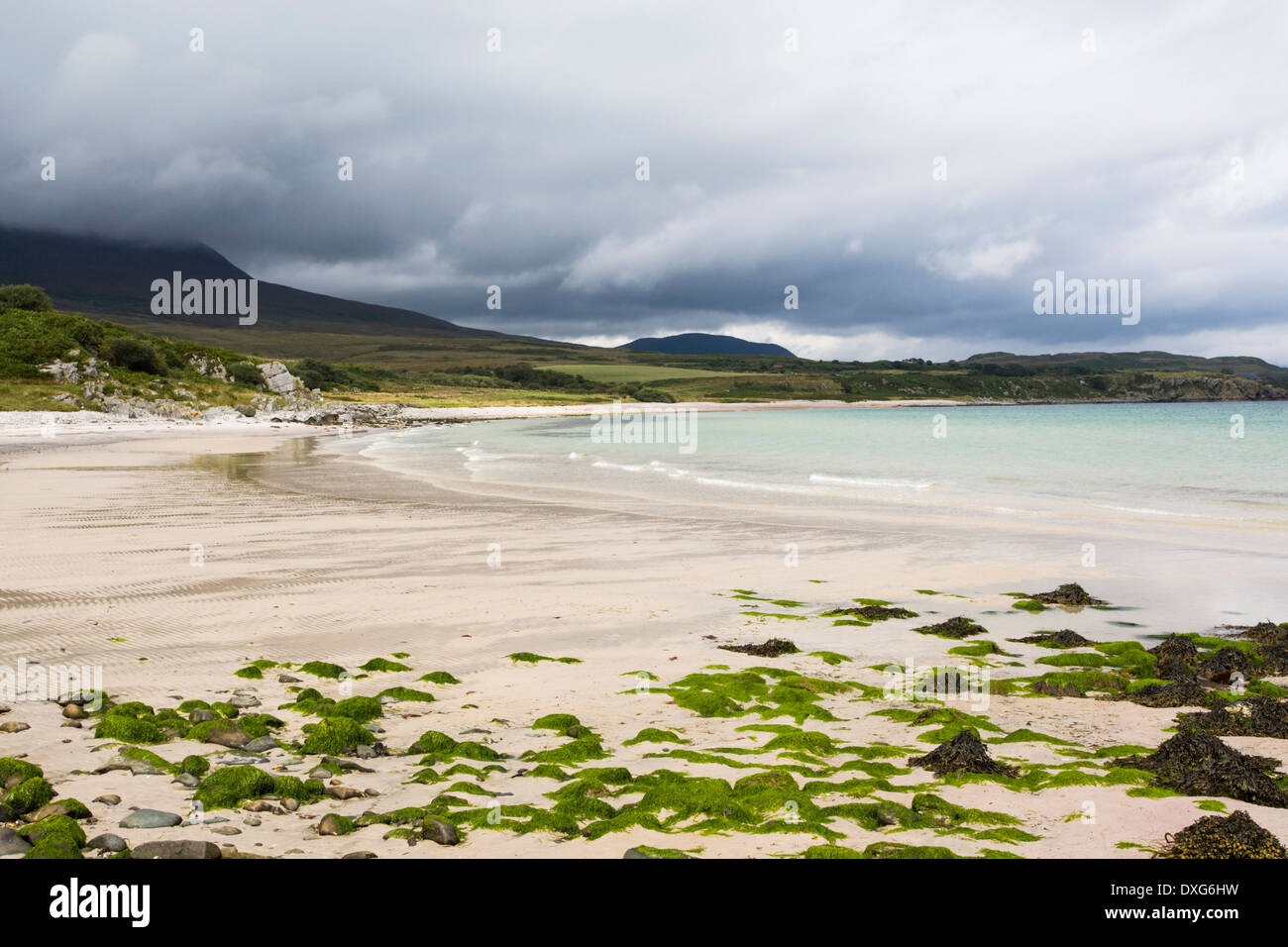 Seaweed on sandy beach at Claggain Bay, looking north, Isle of Islay, Scotland Stock Photo