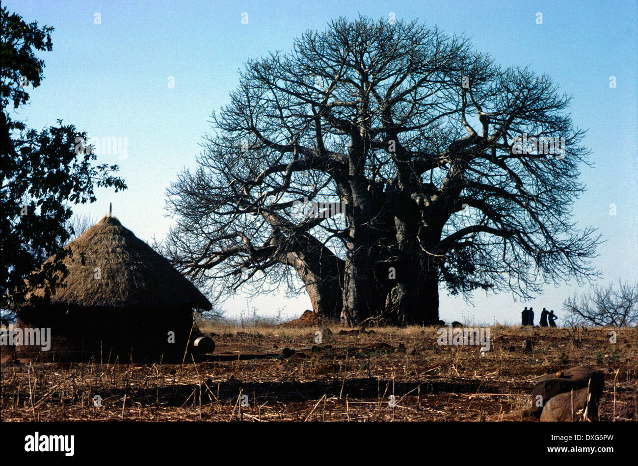 South sotho High Resolution Stock Photography and Images - Alamy