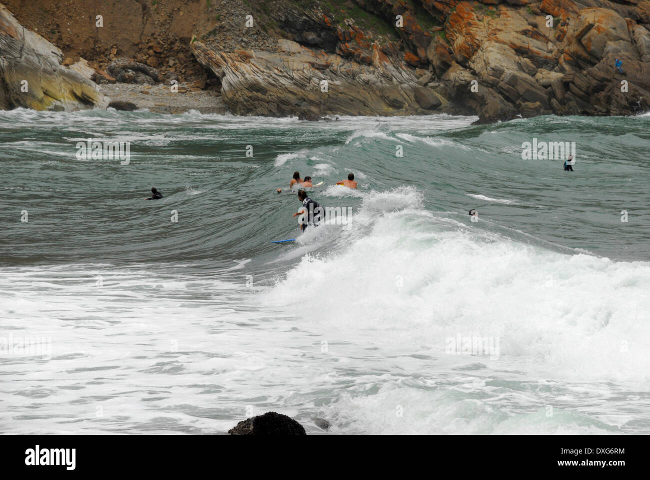 Surfing at Victoria Bay Stock Photo Alamy