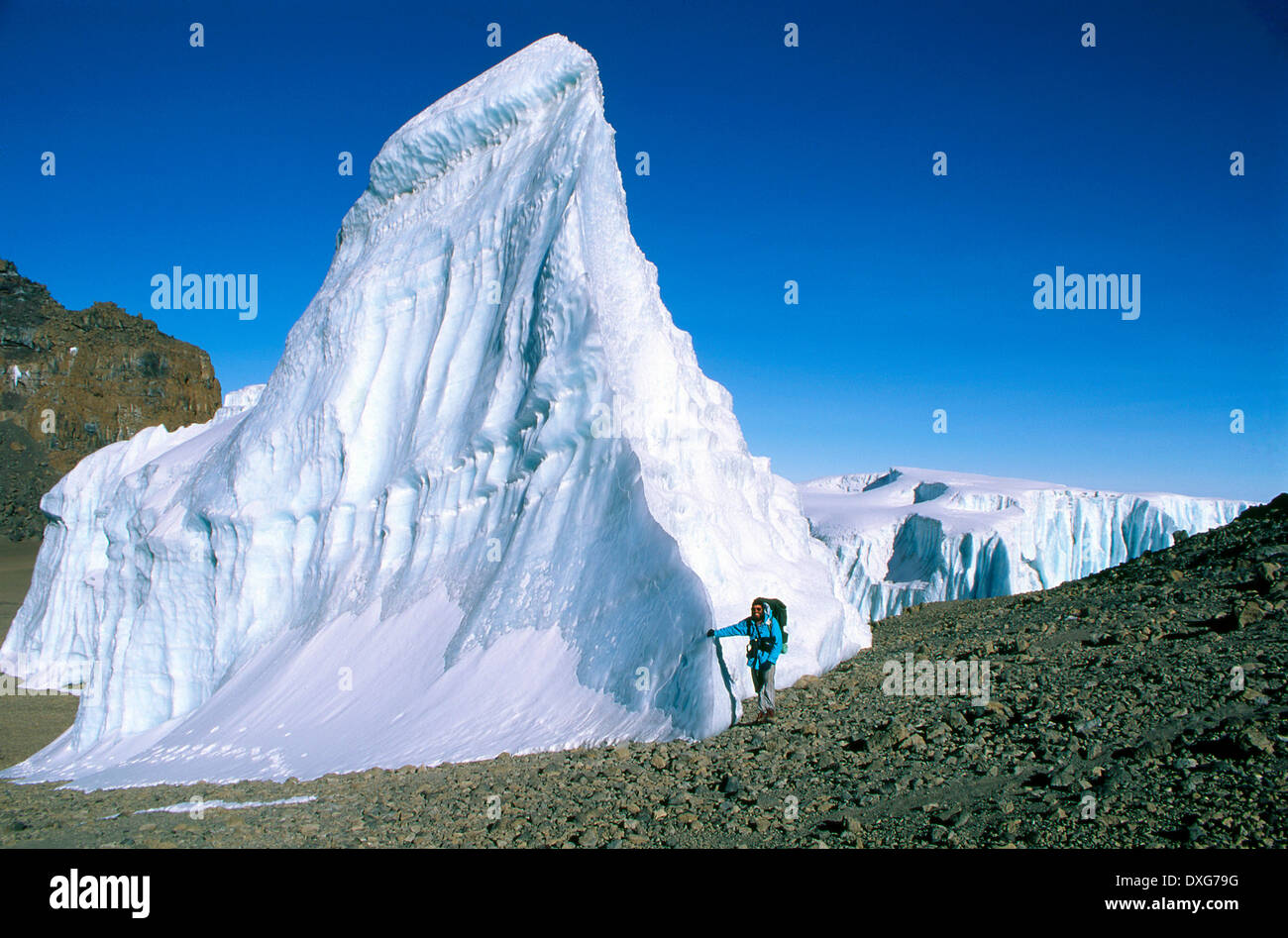 the Furtwangler Glacier on the summit of Mt Kilimanjaro, Tanzania Stock  Photo - Alamy