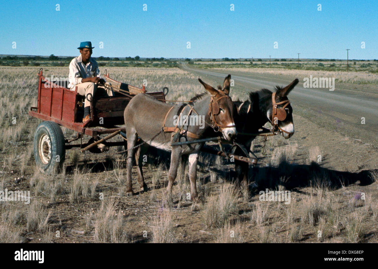 Nama driving donkey cart, Berseba, southern Namibia Stock Photo
