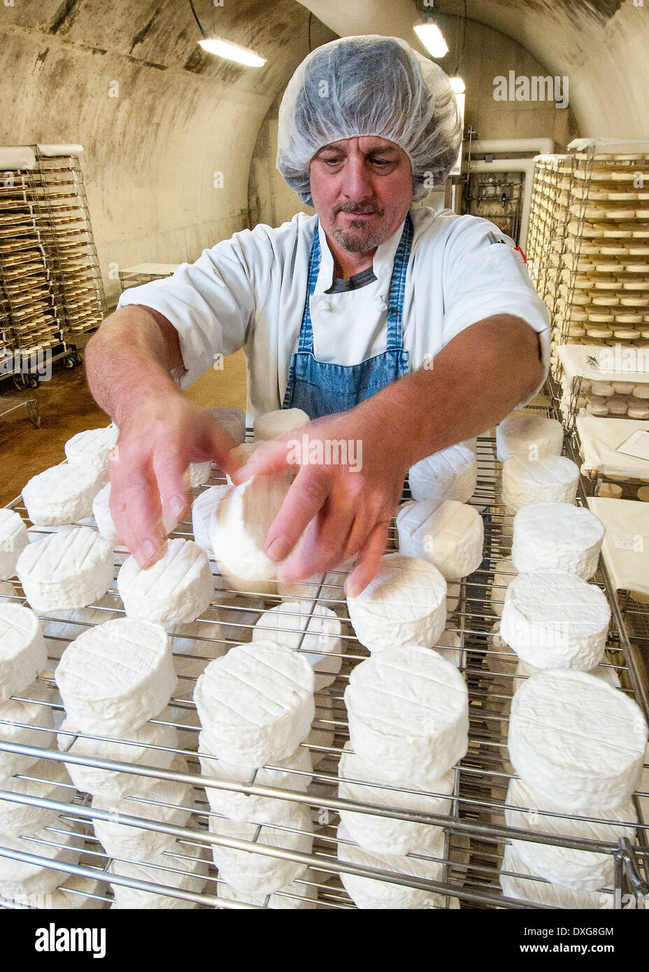 A worker rotates Moses Sleeper artesian soft rind cheese rounds during ...