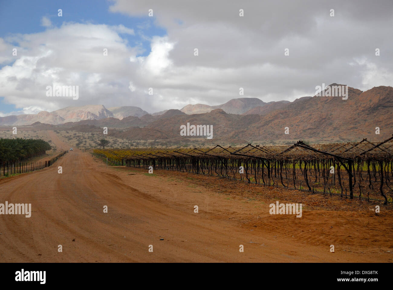 Wine farm near Klein Pella, Namaqualand 4x4 Trail Stock Photo
