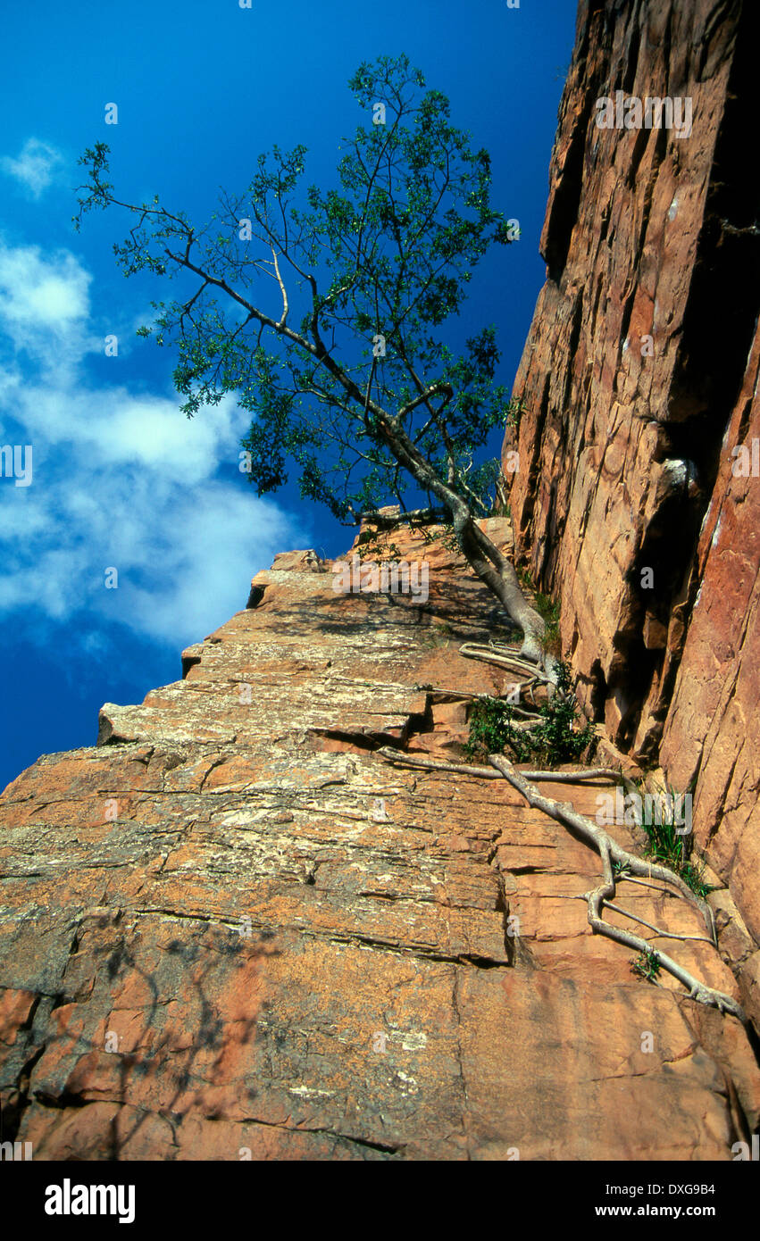 Valley of a thousand hills hi-res stock photography and images - Alamy