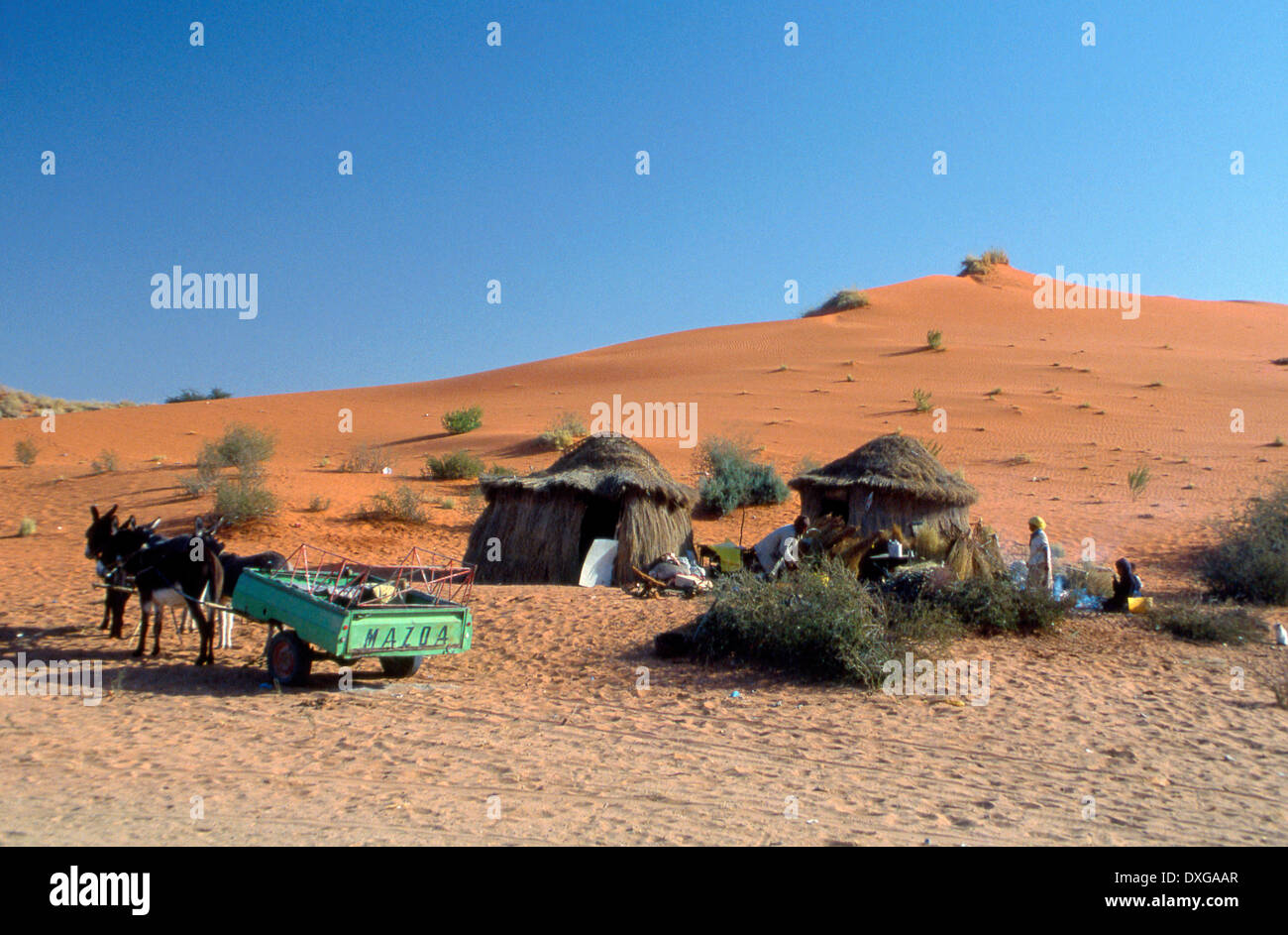 Nama dwelling and donkey cart in the sand dunes, Kalahari Stock Photo