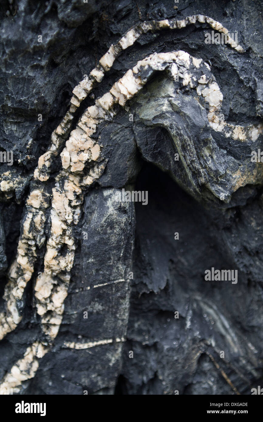 Close up of quartz lines in black metamorphic rock of Rhinns Complex, Saligo Bay, Isle of Islay, Scotland Stock Photo