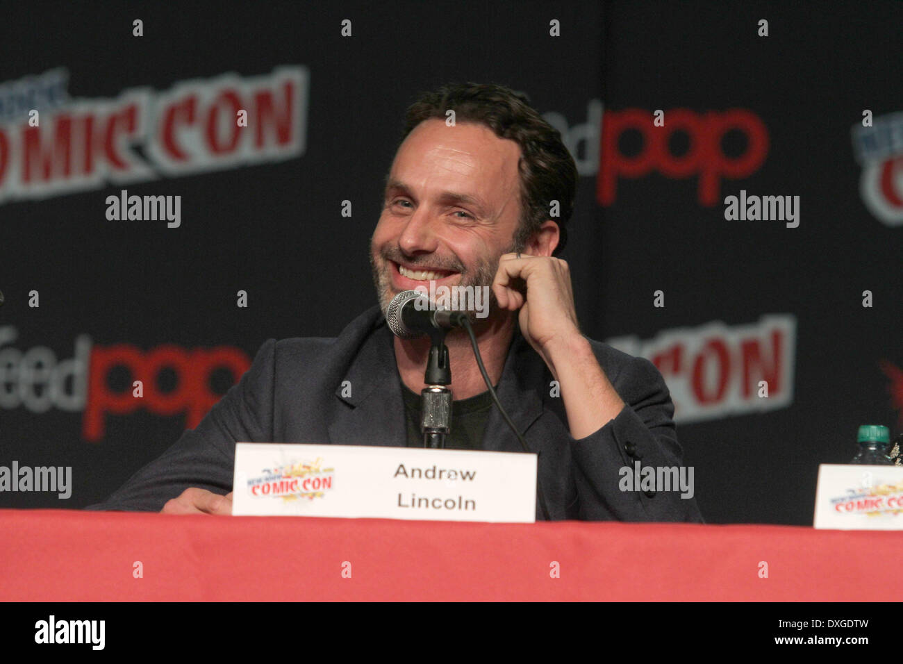Andrew Lincoln Comic Con New York held at the Jacob Javits Convention