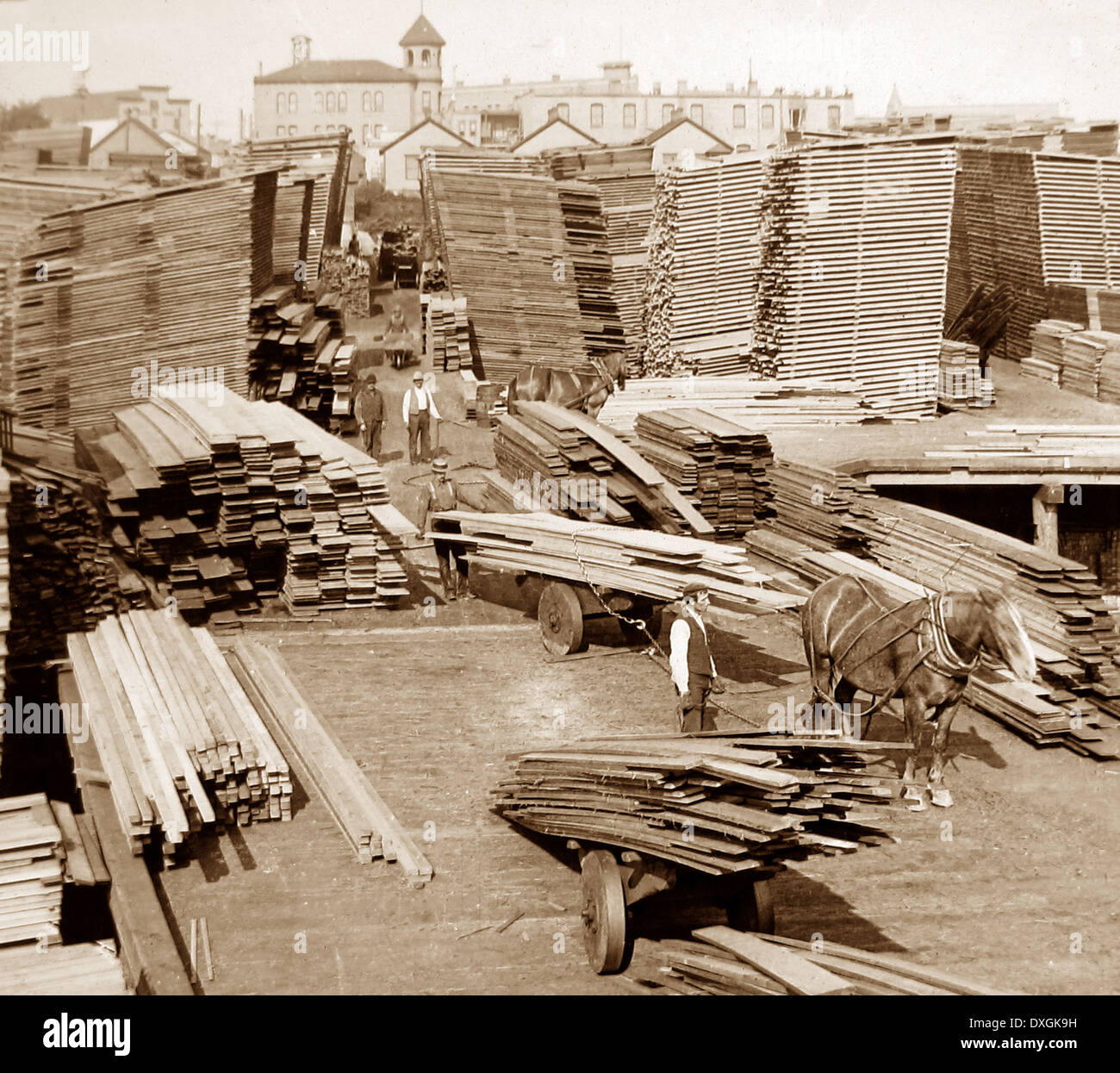 Lumber Yard Washington USA early 1900s Stock Photo Alamy