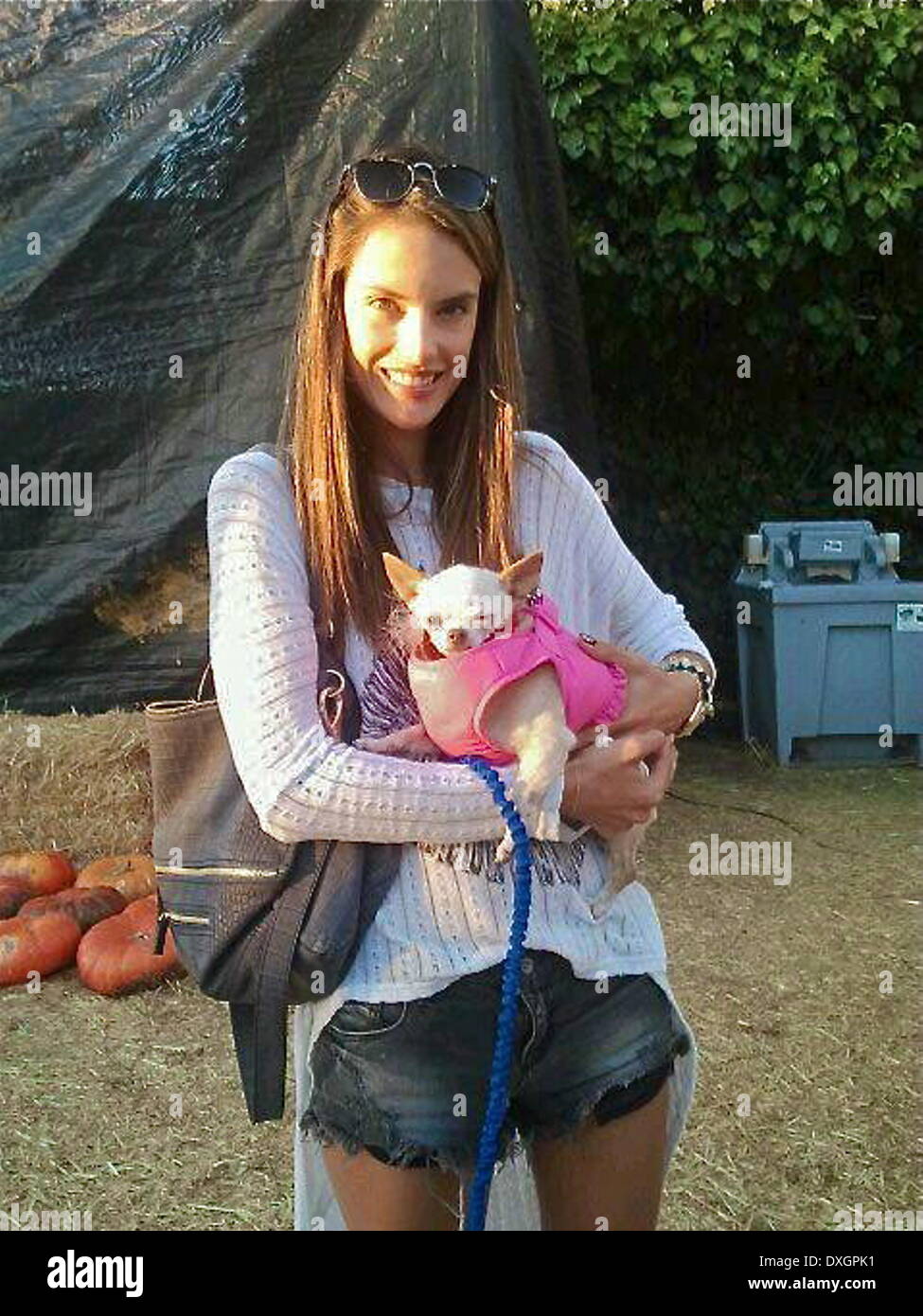 Alessandra Ambrosio is holding a rescue dog named Bubbles who was close to death when One Dog Rescue, a non-profit animal rescue group in Los Angeles, saved her life. Alessandra left a 100 dollar bill in the rescue's donation jar. Los Angeles, California - 23.10.12 When: 23 Oct 2012 Stock Photo