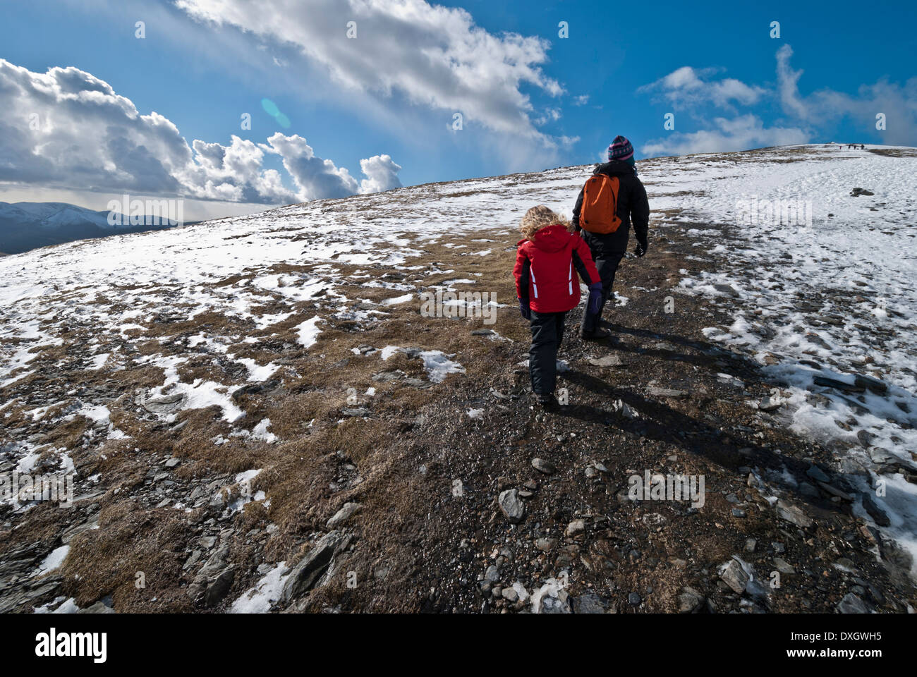 Wide shot of female walker with child walking behind approaching Skiddaw summit. Stock Photo