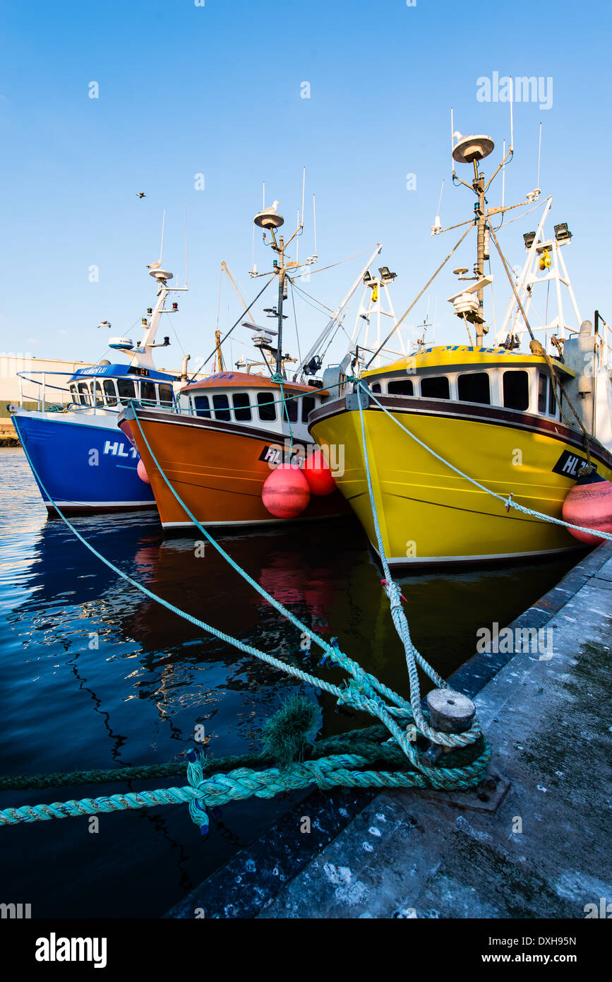 Three brightly coloured trawler fishing boats tied up together on a pontoon in a harbour. Stock Photo