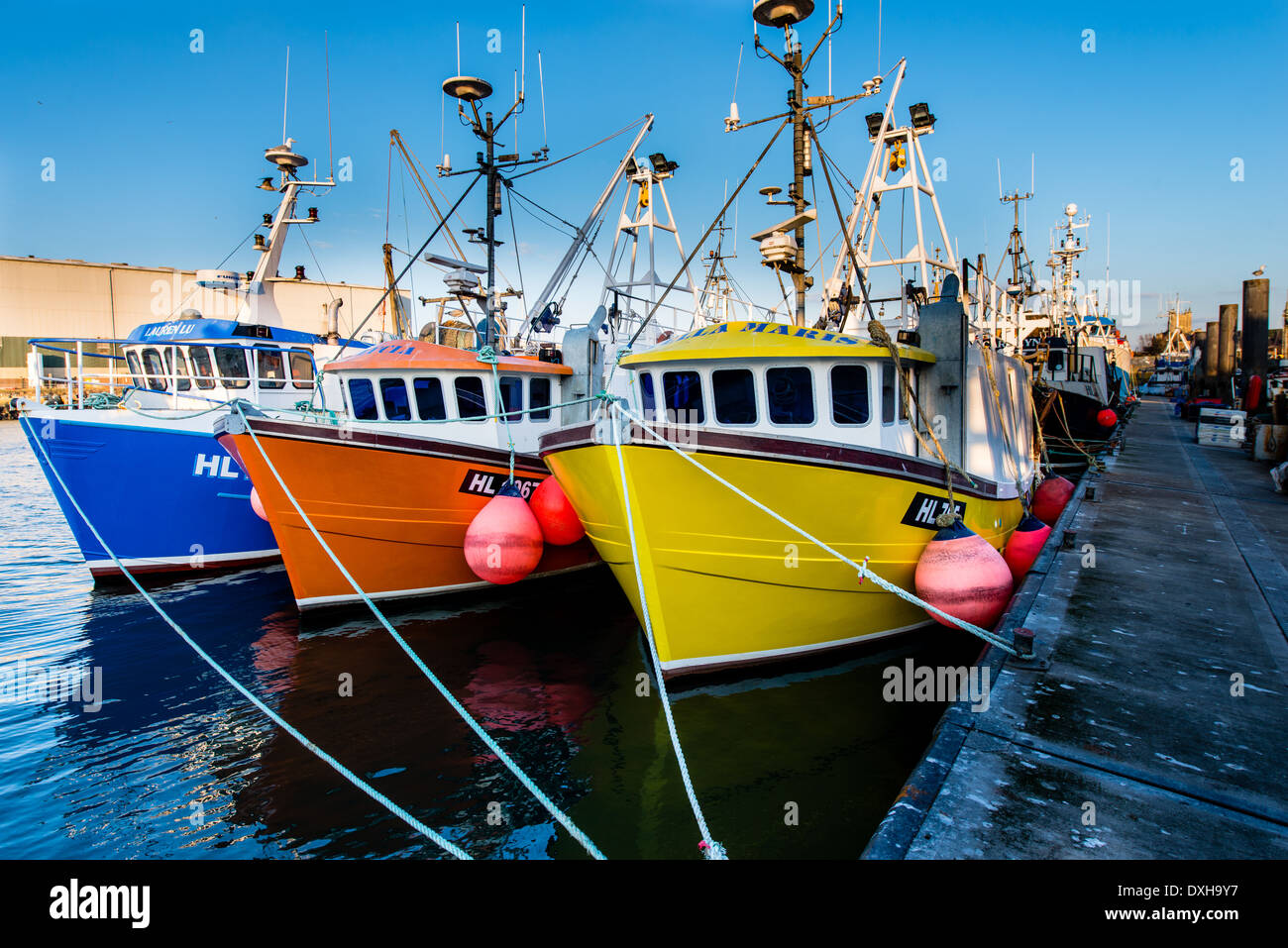 Three brightly coloured trawler fishing boats tied up together on a pontoon in a harbour. Stock Photo
