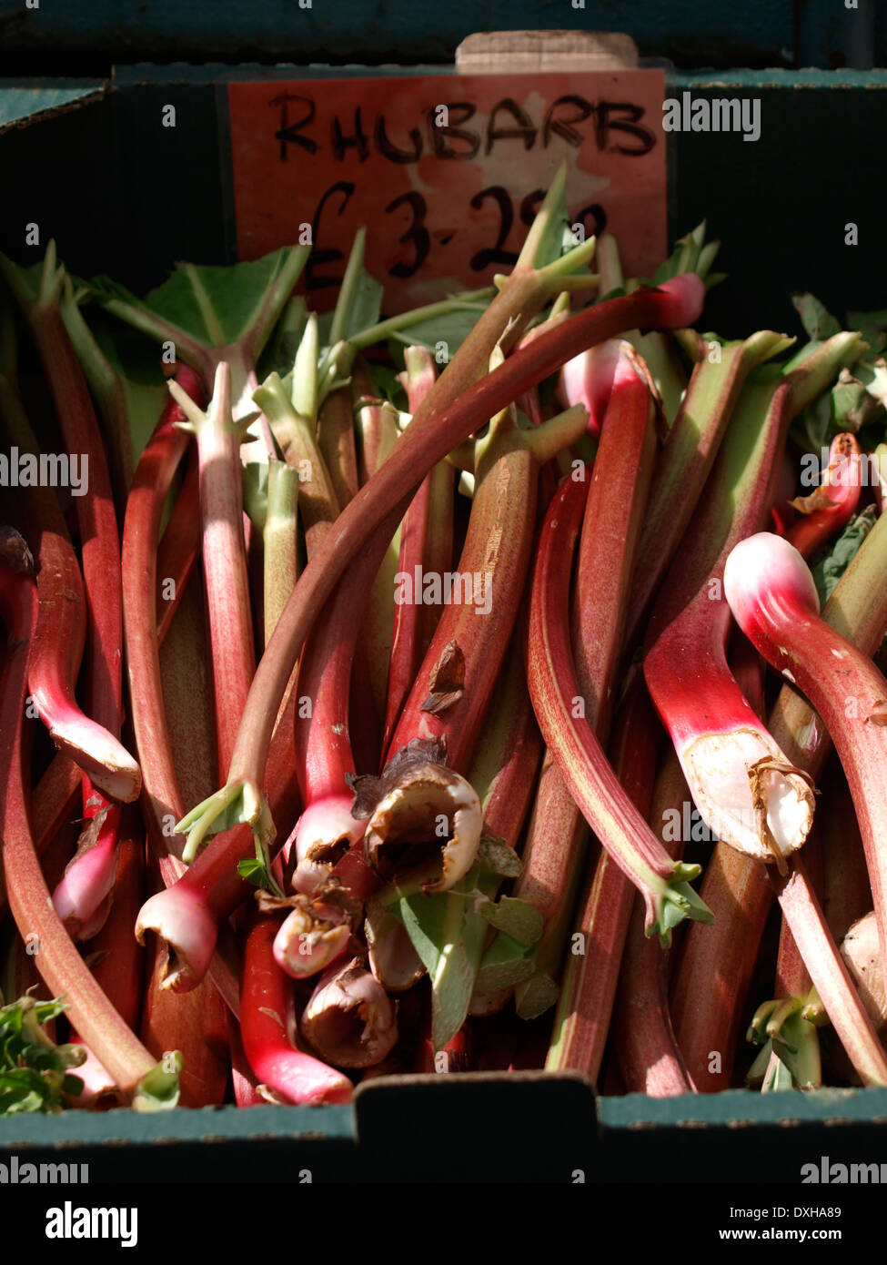 Sticks of rhubarb for sale in a green grocers, Stock Photo