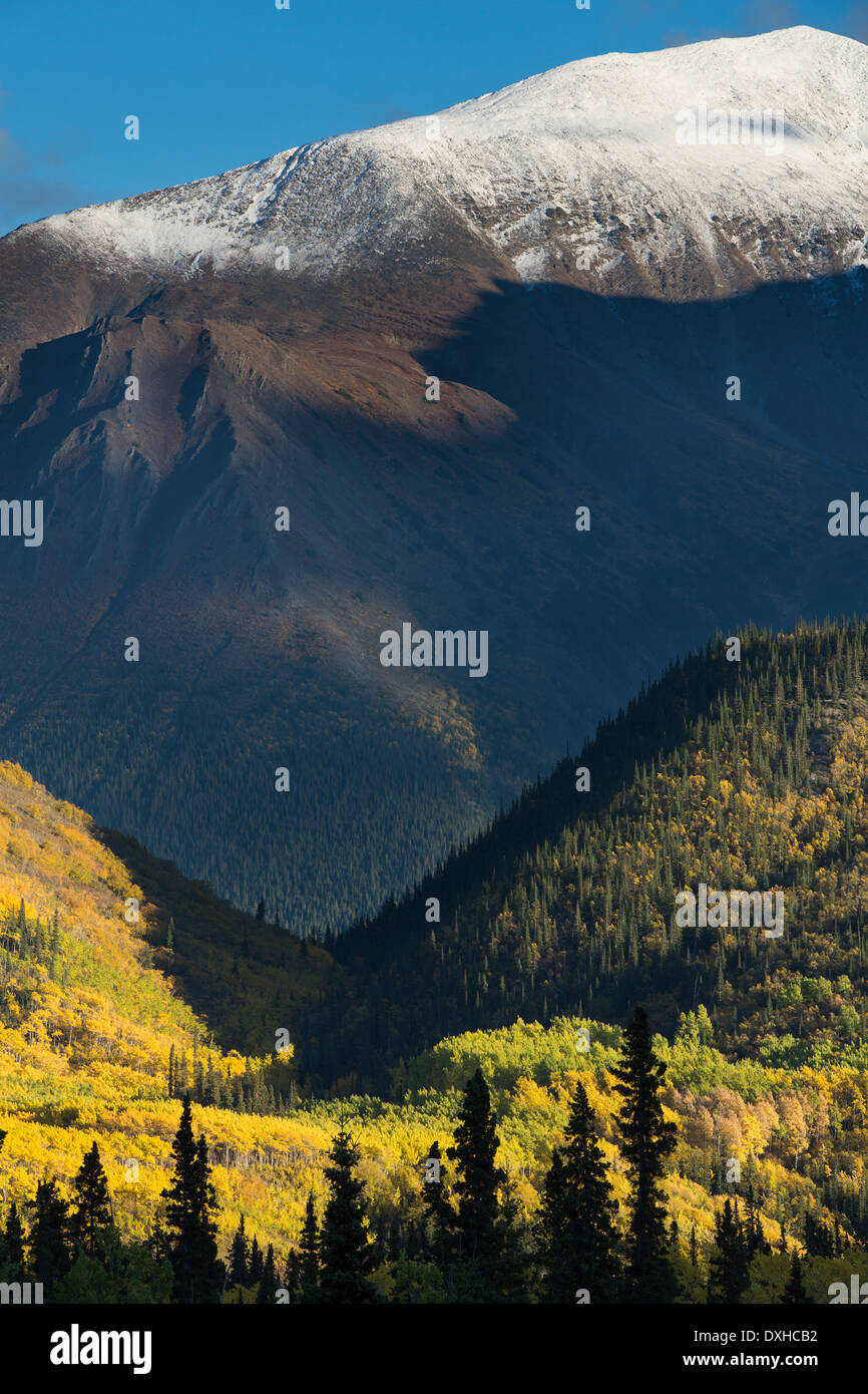 autumn colours along the South Klondike Highway and a shadow resembling the head of a wolf on Young Peak British Columbia Canada Stock Photo