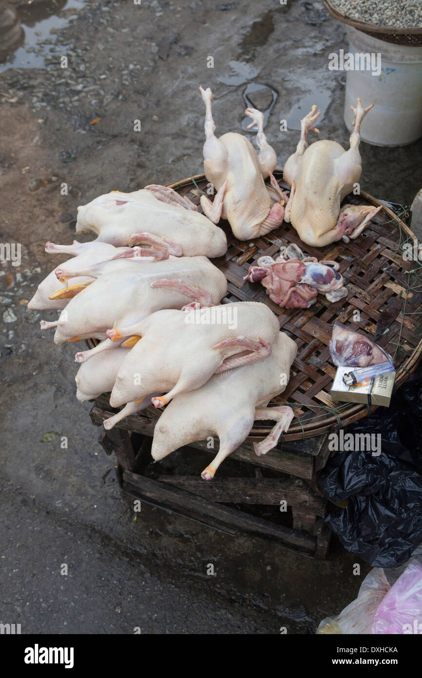 Duck on sale at Dong Ba Market in Hue Stock Photo