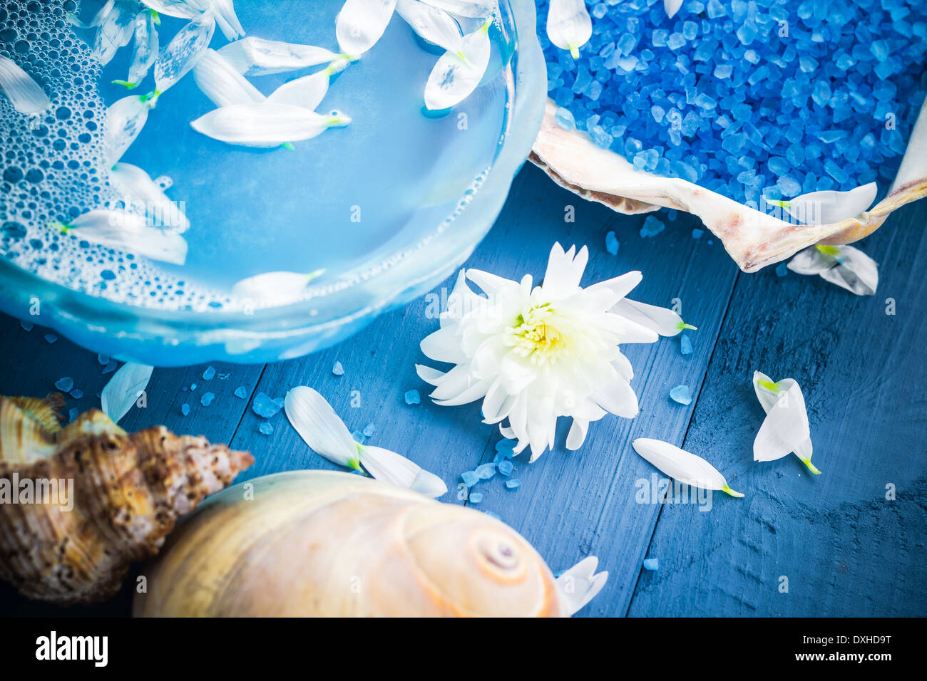 Spa Shell Samples Spa composition body care hi-res stock photography and images - Alamy